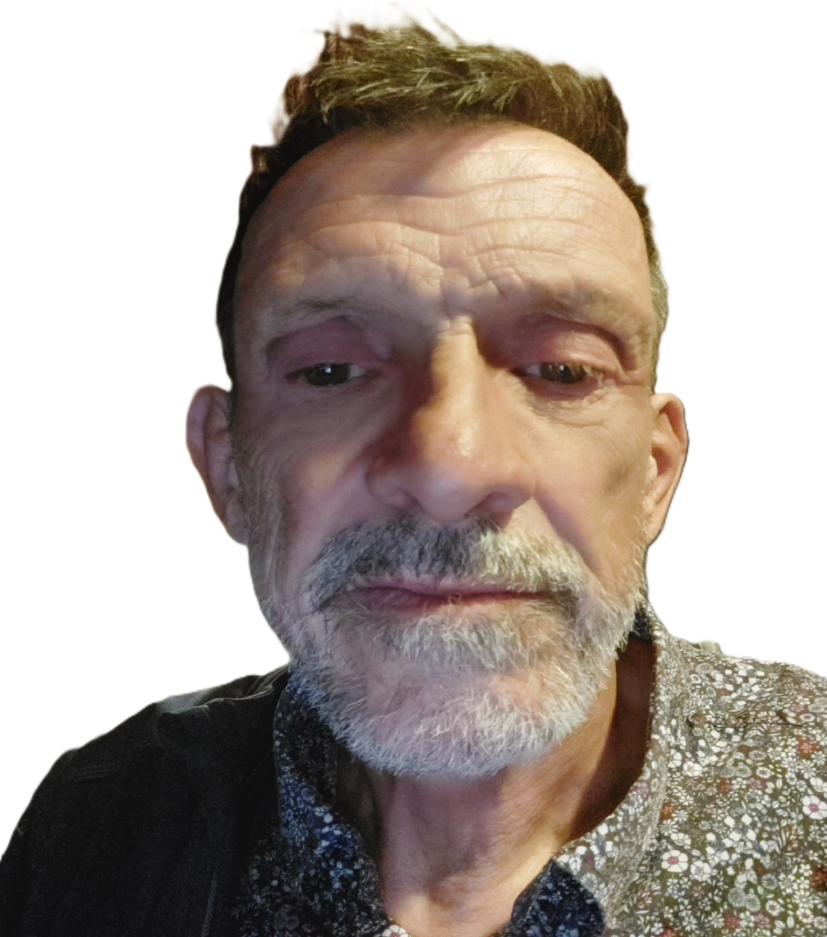 Andrew Webb